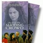 Far from the Madding Crowd (1998)