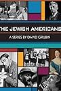 The Jewish Americans (2008)