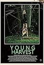 Young Harvest (2013)