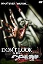 Don't Look in the Cellar (2008)