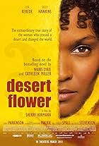 Liya Kebede in Desert Flower (2009)