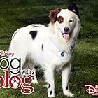 Dog with a Blog (2012)