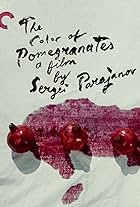 The Color of Pomegranates