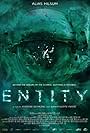 Entity (2014)