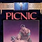 Picnic (1955)