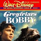 Greyfriars Bobby: The True Story of a Dog (1961)