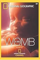 In the Womb