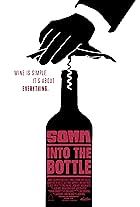 SOMM: Into the Bottle (2015)