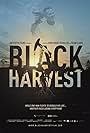 Black Harvest (2014)