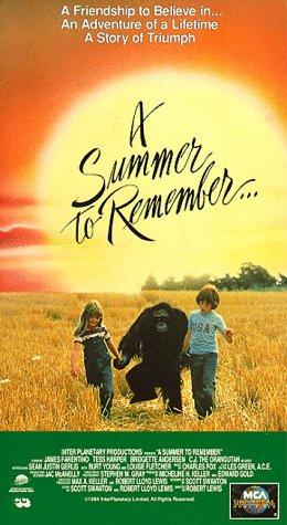 A Summer to Remember (1985)