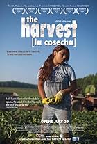 The Harvest/La Cosecha