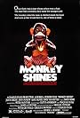 Monkey Shines - Esperimento nel terrore (1988)