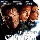 After the Storm (2001)