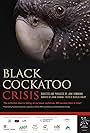 Black Cockatoo Crisis (2022)