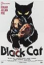 The Black Cat (1981)