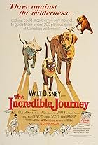 The Incredible Journey