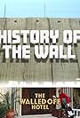 History of the Wall (2017)