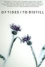 Of Tides/To Distill (2017)