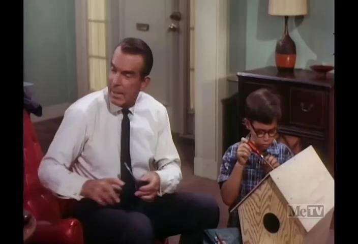 Barry Livingston and Fred MacMurray in My Three Sons (1960)