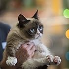 Grumpy Cat in Grumpy Cat's Worst Christmas Ever (2014)