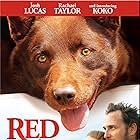 Josh Lucas, Rachael Taylor, and Koko in Red Dog (2011)