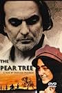 The Pear Tree