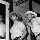 "Bad Day at Black Rock" Ernest Borgnine, Lee Marvin 1955 MGM