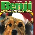 Benji's Very Own Christmas Story (1978)