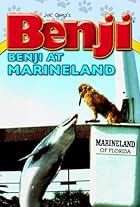 Benji Takes a Dive at Marineland