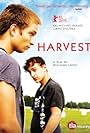Harvest (2011)