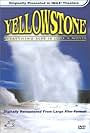 Yellowstone (1994)