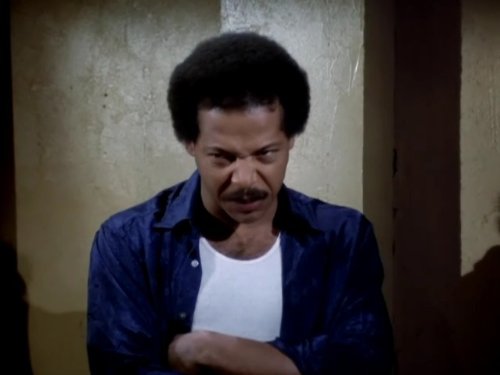 Felton Perry in Hill Street Blues (1981)