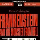 Frankenstein and the Monster from Hell (1974)