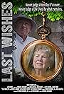 Last Wishes (2014)