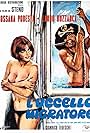 L'uccello migratore (1972)