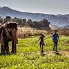 Tai, Jenna Ortega, and Martin Martinez in Saving Flora (2018)