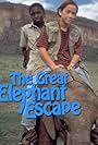 Joseph Gordon-Levitt in The Great Elephant Escape (1995)