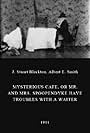 Mysterious Cafe, or Mr. and Mrs. Spoopendyke Have Troubles with a Waiter (1901)