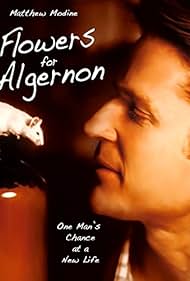 Flowers for Algernon (2000)