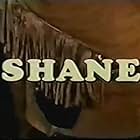 Shane (1966)