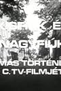 Kisfiúk és nagyfiúk (1977)