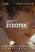 Zizotek (2019)