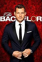 The Bachelor