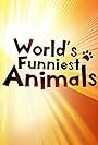 The World's Funniest Animals (2020)