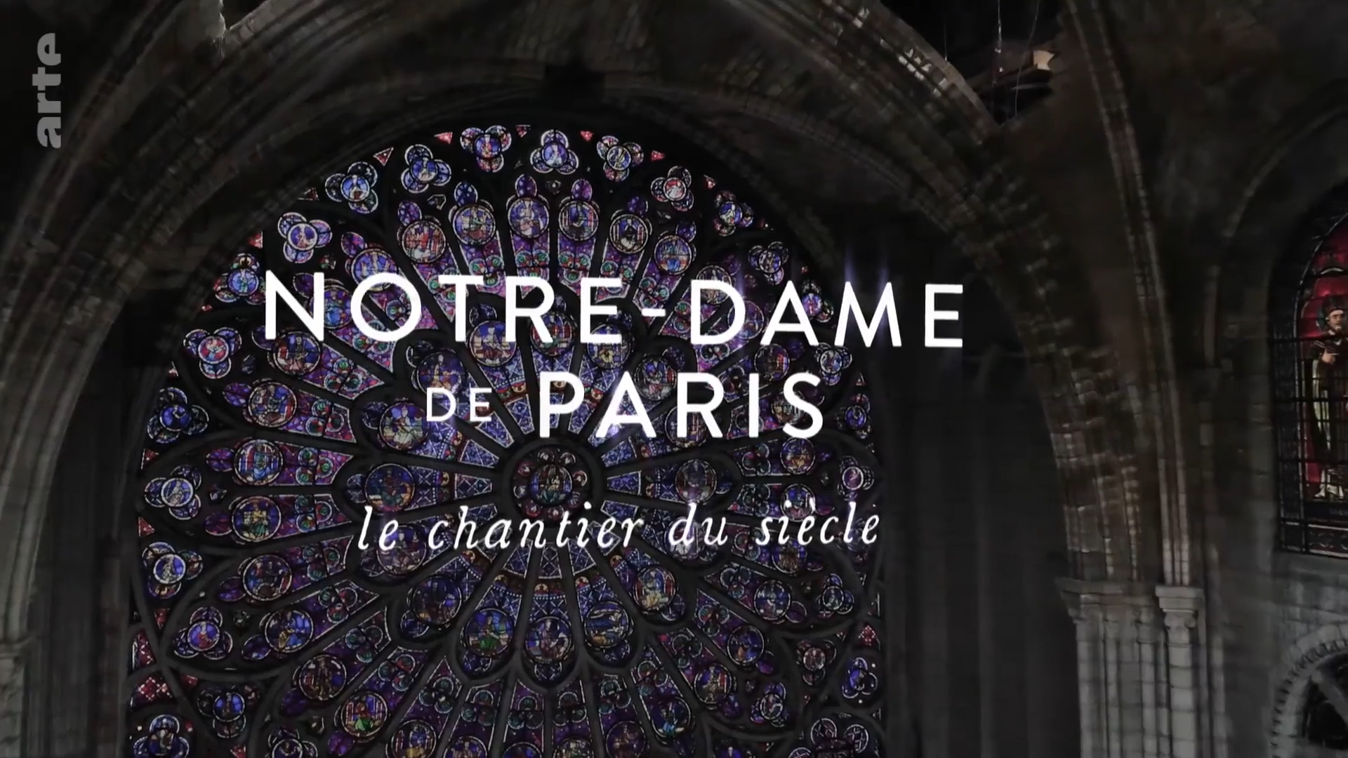 Notre-Dame de Paris, le chantier du siècle (2023)