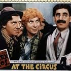 Groucho Marx, Chico Marx, and Harpo Marx in At the Circus (1939)