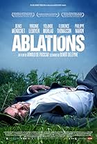 Ablations (2014)