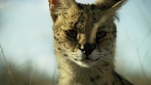 Watch Planet Earth II Official Trailer