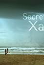 Secrets de Xangai (2011)