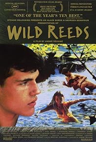 Primary photo for Wild Reeds